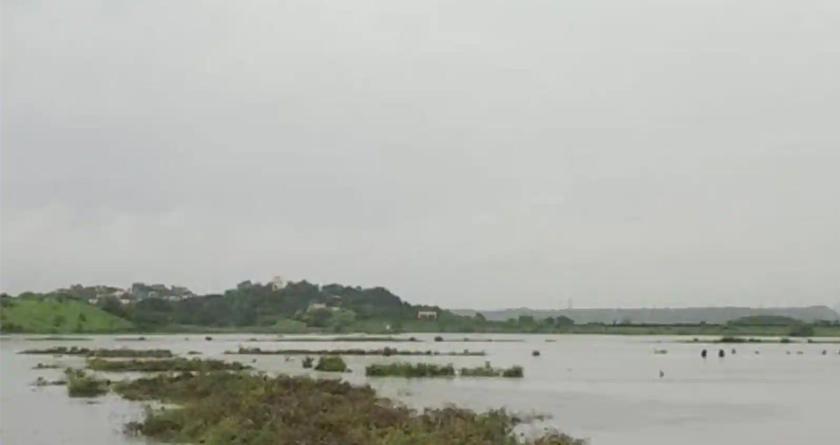 Mangrove cell of the Maharashtra Government exterminates 450 illegal establishments on the salt pans