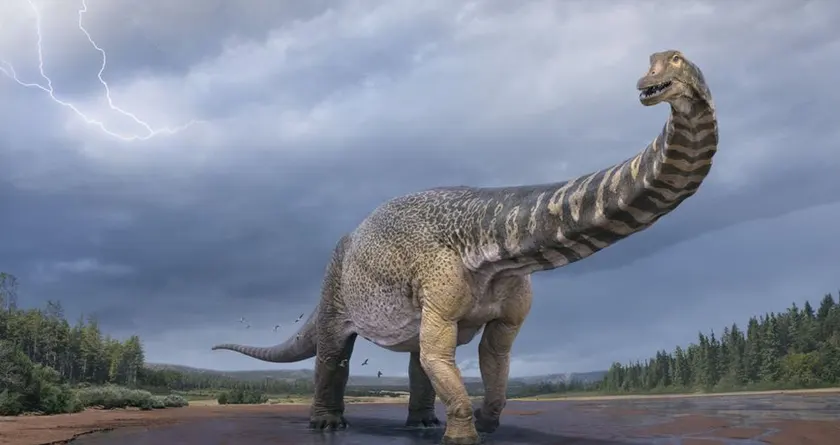 Largest Dinosur