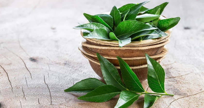 Curry Leaves: Facts you need to know