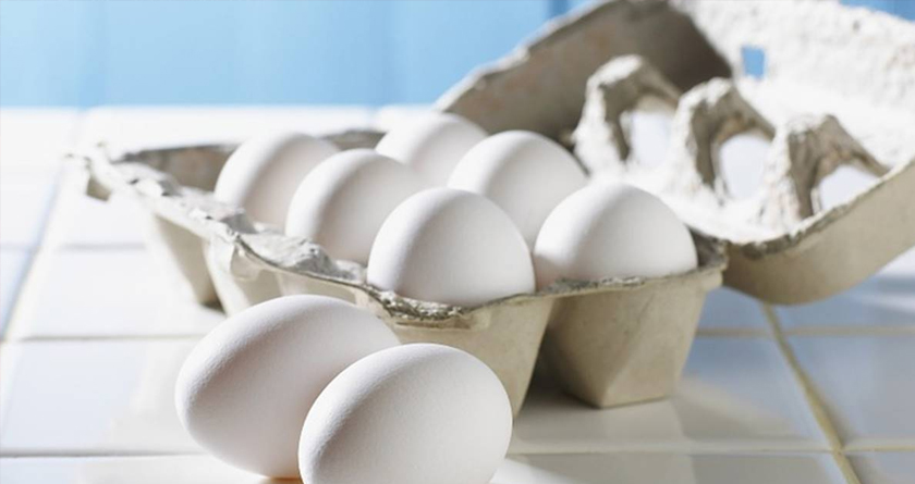 Are you consuming quality eggs? Test quickly!