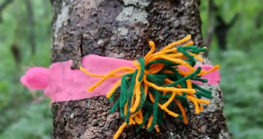 Rakhi tied to the trees in protest against the setting up of the IIT Goa campus