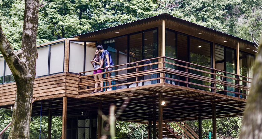 Magical Tree Houses to rush to amid the new normal