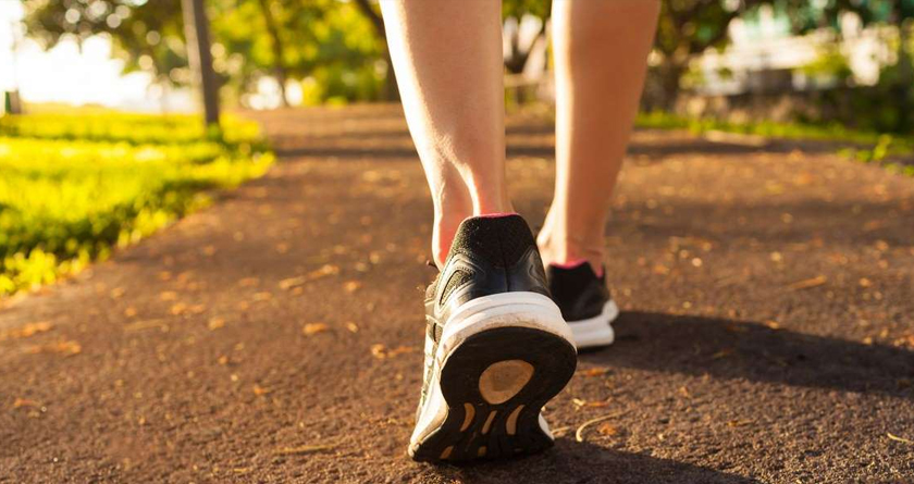 How can 30 minutes of regular walks help your health